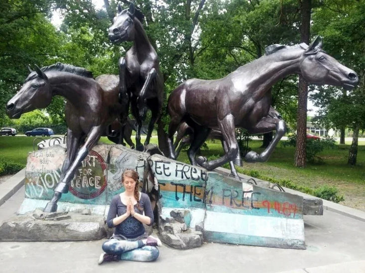 Meditation for monkey-minds by Irina Verwer