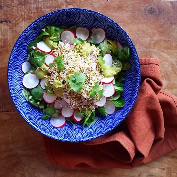 Sprouts, Radishes & Avocado Cream by Irina Verwer