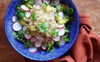 Sprouts, Radishes & Avocado Cream by Irina Verwer