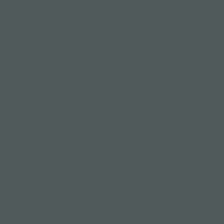 Kleur: Pinyon