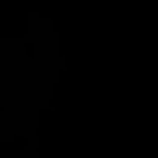 Onyx Black