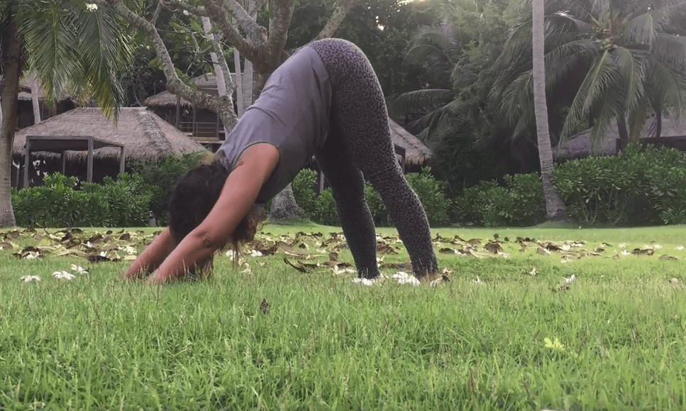 Odaka yoga