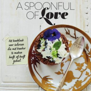 Spoonful of love kookboek