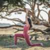 Indian Desert set_ Satya yoga legging and Lakshmi yoga Crop Top