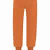Sukha pants-bombay brown-11345539-back
