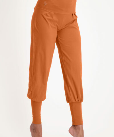 sukha pants-Bombay brown-11345539-front-model_Fullbody_TIFF_2